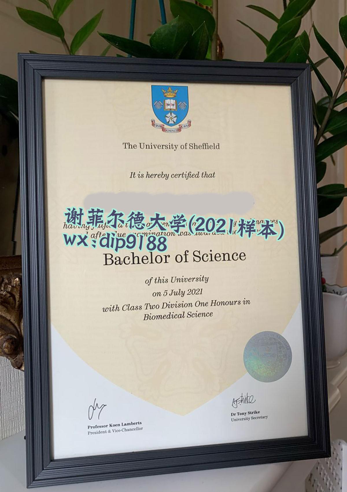 谢菲尔德大学学历2021毕业证样本图