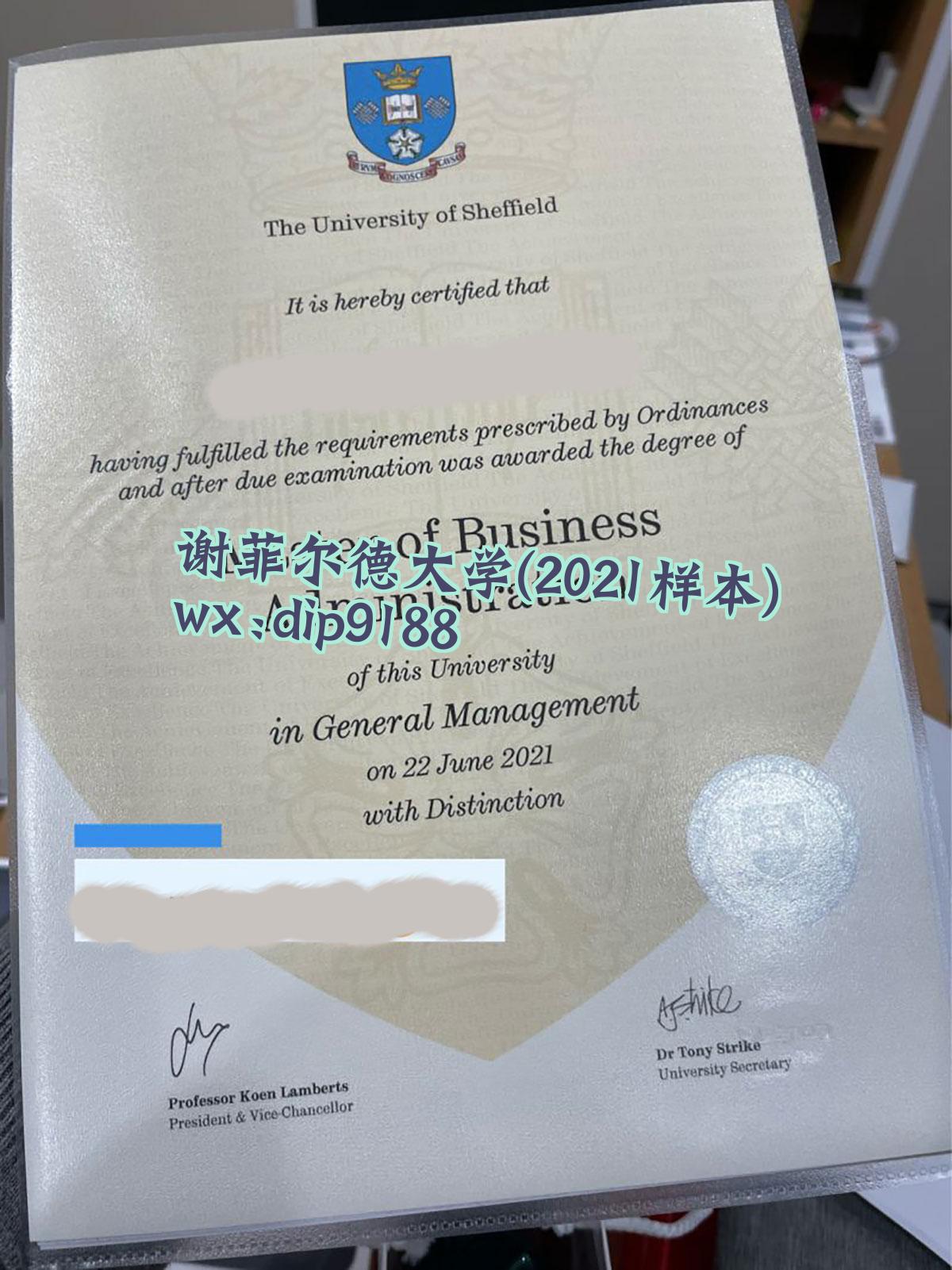 谢菲尔德大学学历2021毕业证样本图