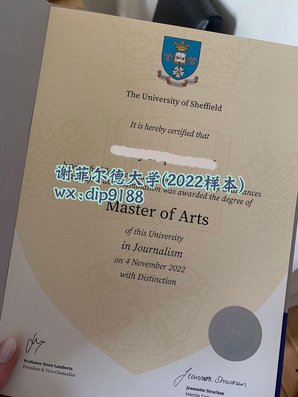 谢菲尔德大学学历2022毕业证样本图
