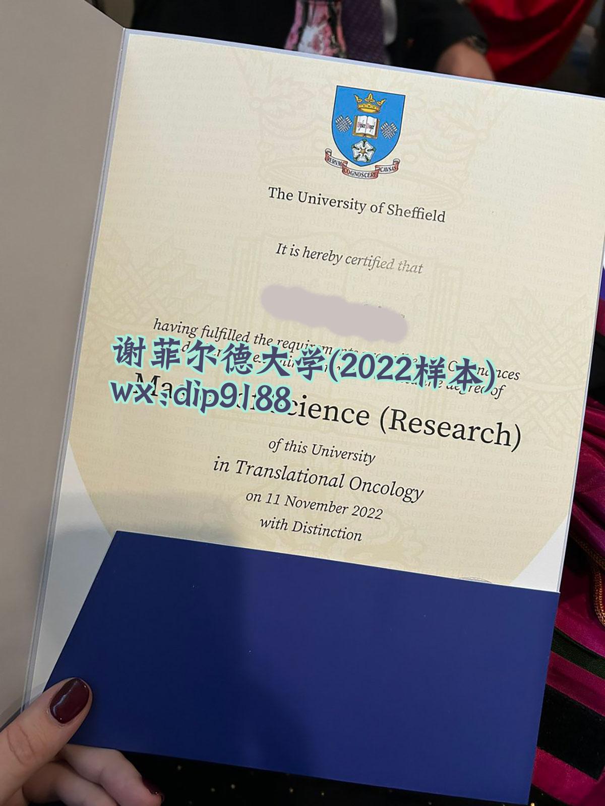 谢菲尔德大学学历2022毕业证样本图