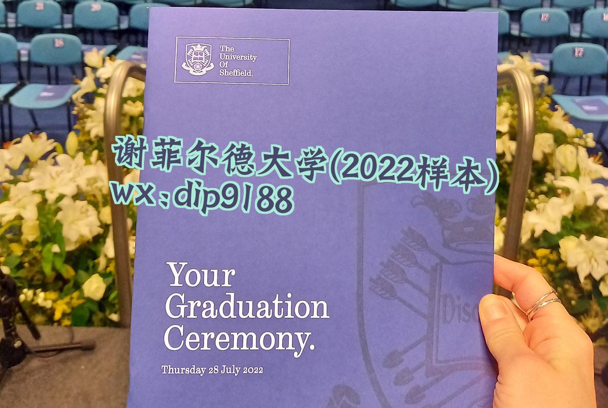谢菲尔德大学学历2022毕业证样本图
