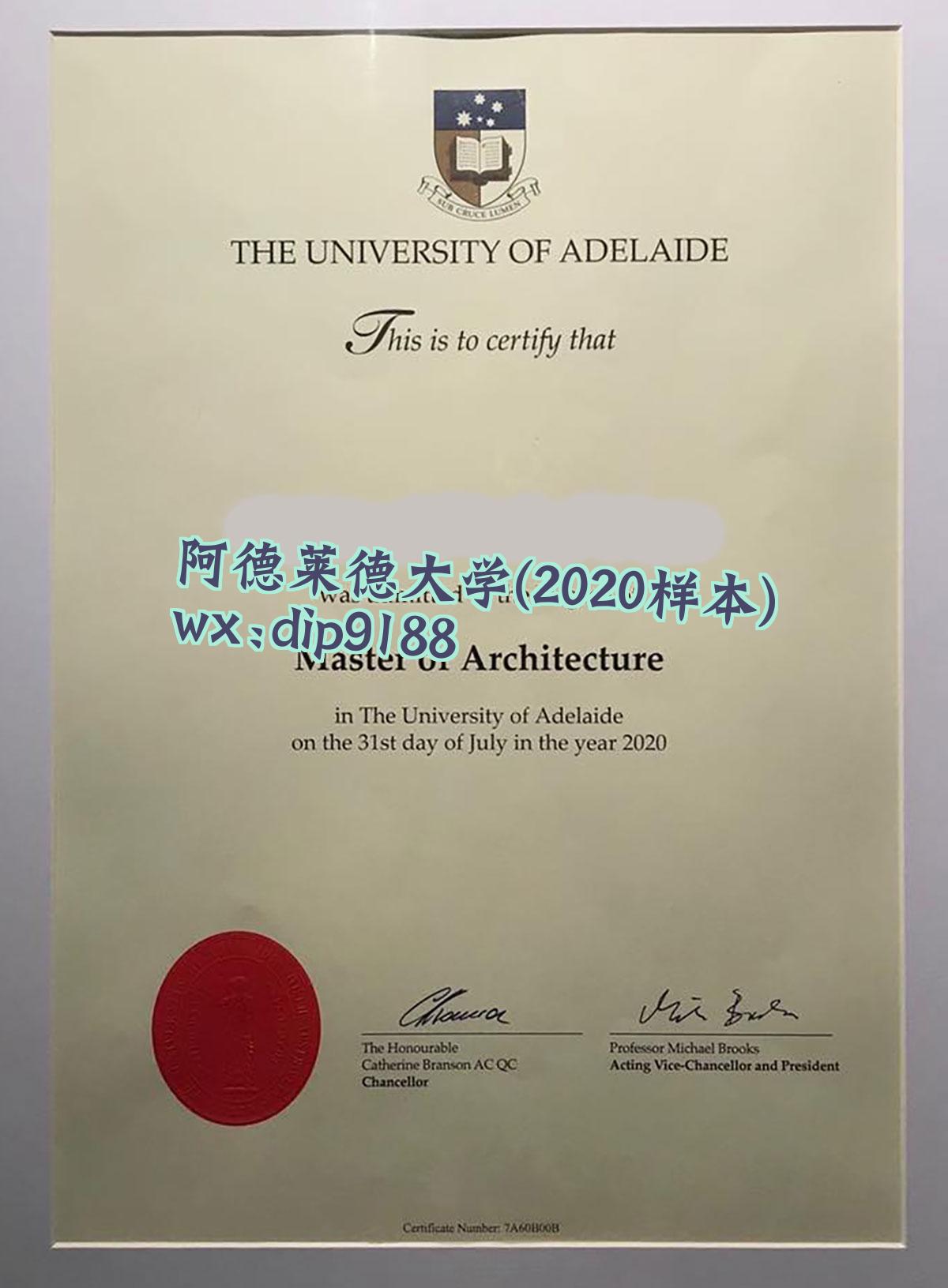 阿德莱德大学学历2020毕业证样本图