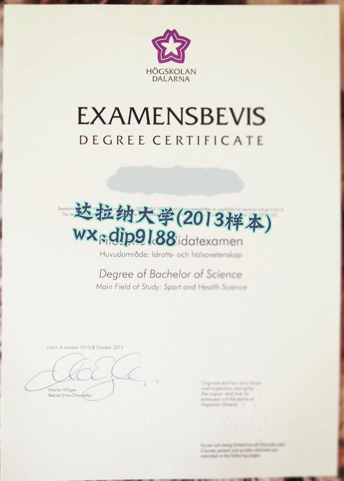 达拉纳大学学历2013毕业证样本图