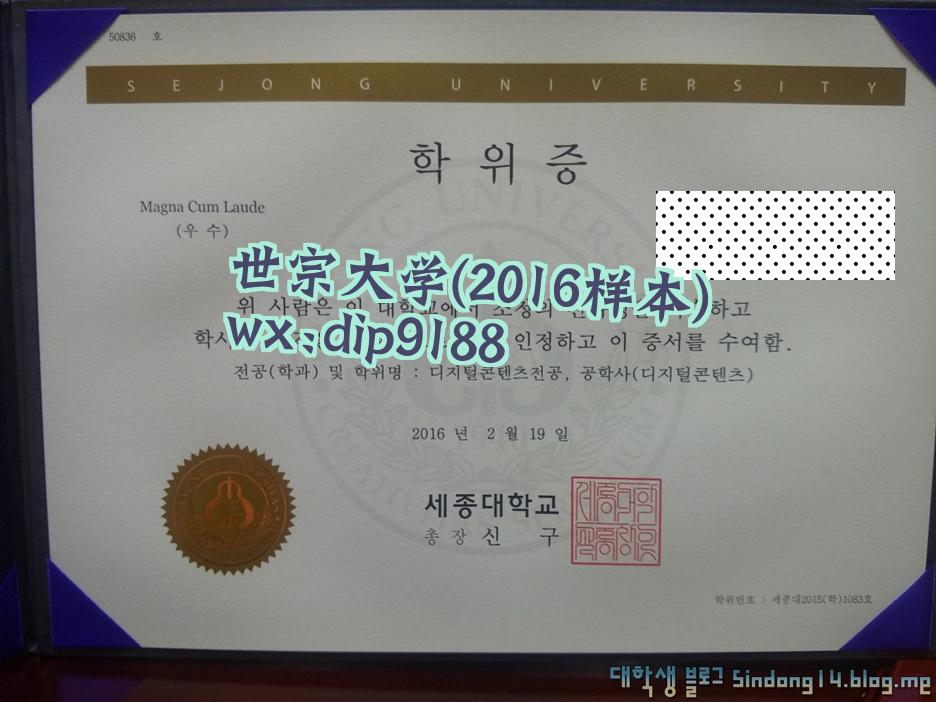 世宗大学学历2016毕业证样本图