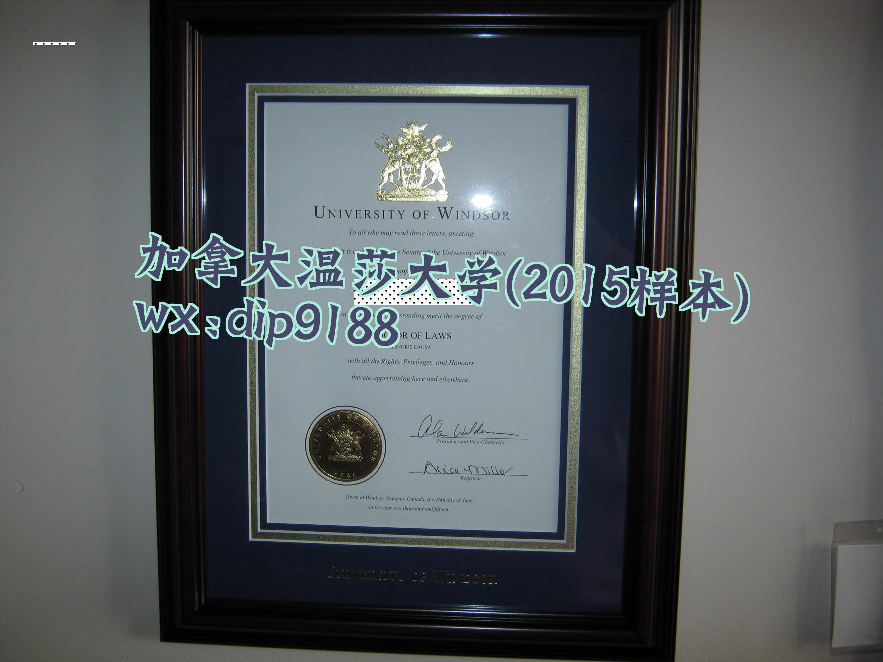 加拿大温莎大学学历2015毕业证样本图