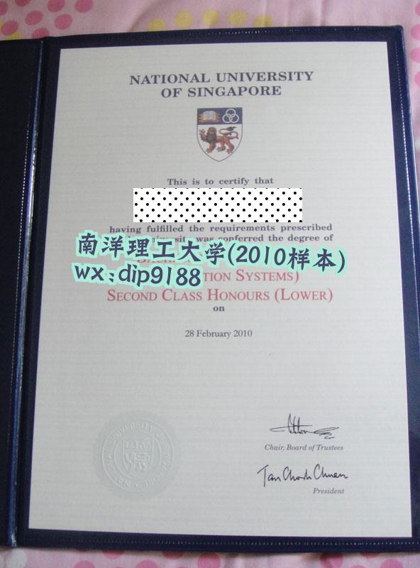 南洋理工大学学历2010毕业证样本图
