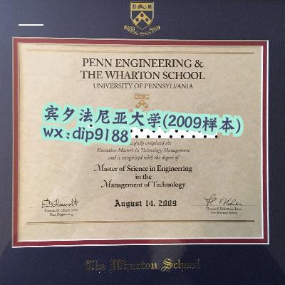 宾夕法尼亚大学学历2009毕业证样本图