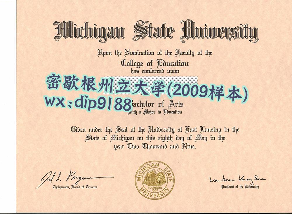 密歇根州立大学学历2009毕业证样本图