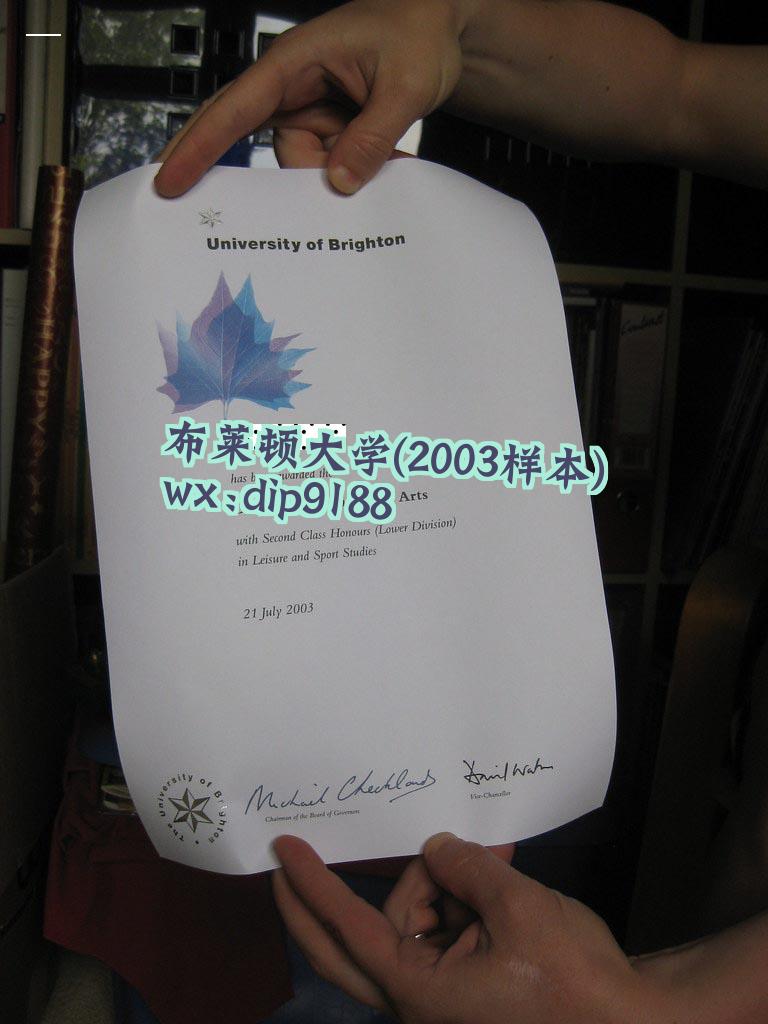 布莱顿大学学历2003毕业证样本图