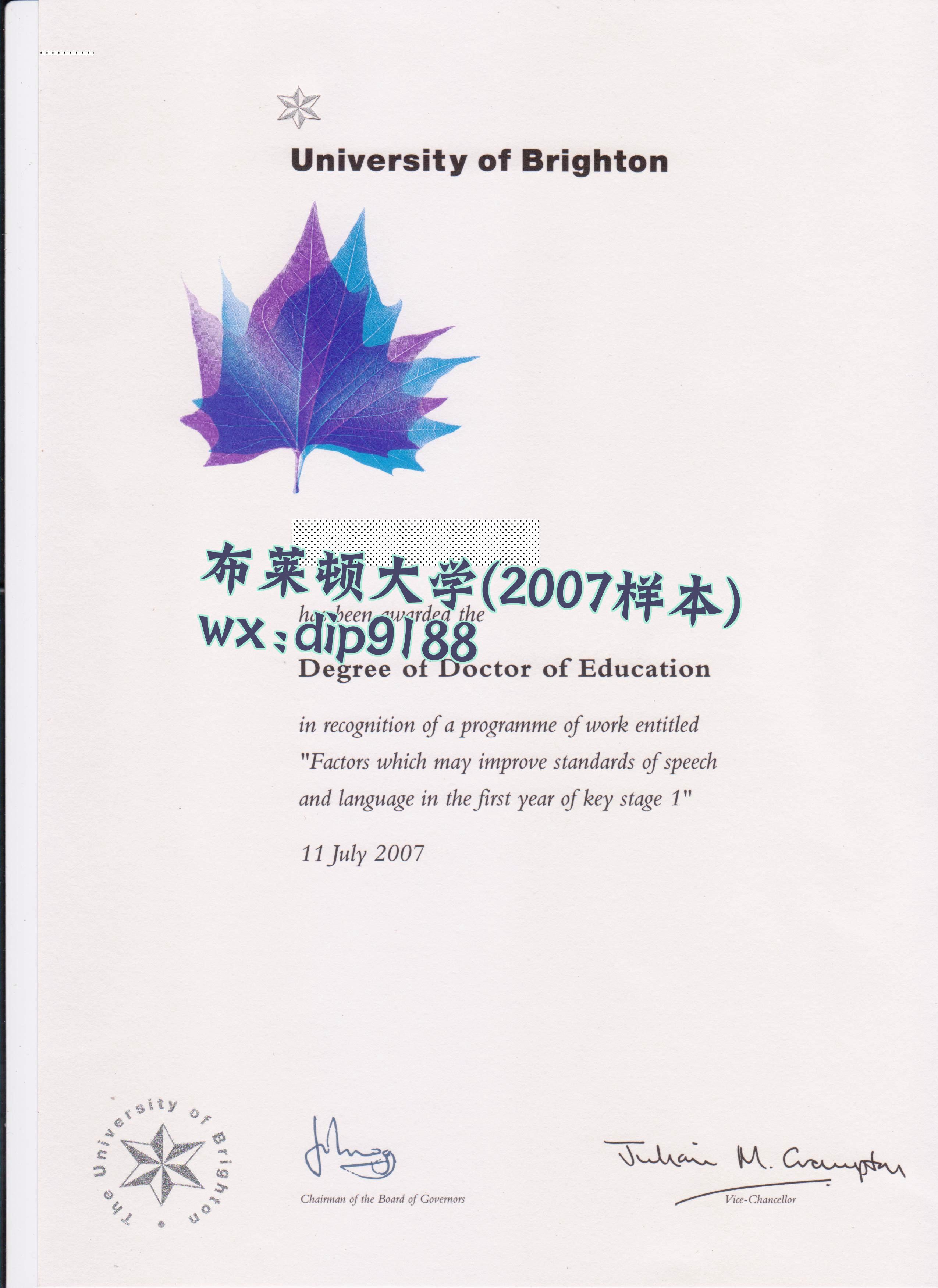 布莱顿大学学历2007毕业证样本图