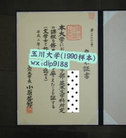 玉川大学学历1990毕业证样本图