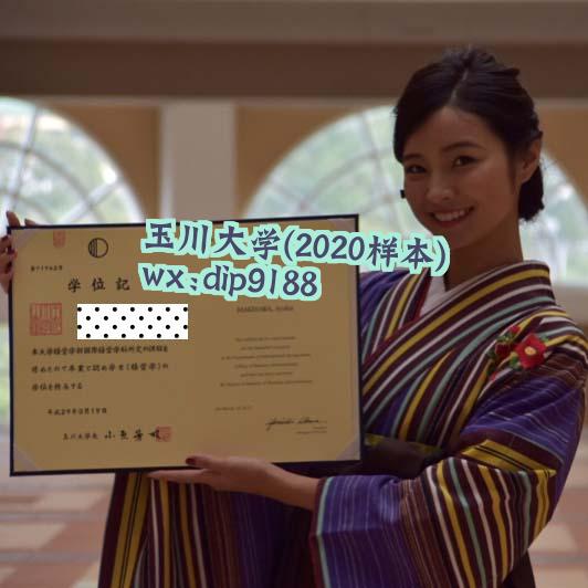 玉川大学学历2020毕业证样本图