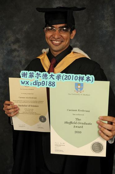 谢菲尔德大学学历2010毕业证样本图