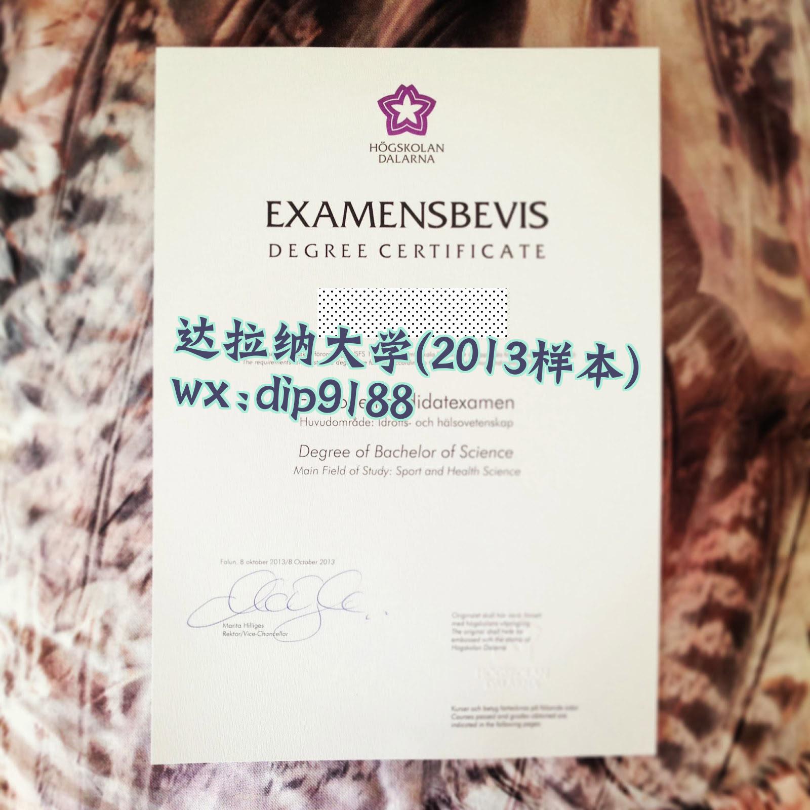 达拉纳大学学历2013毕业证样本图