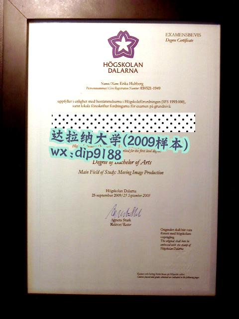 达拉纳大学学历2009毕业证样本图