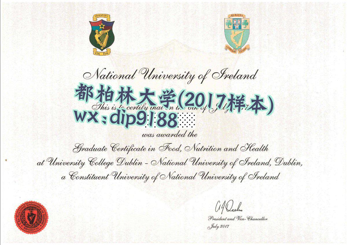 都柏林大学学历2017毕业证样本图