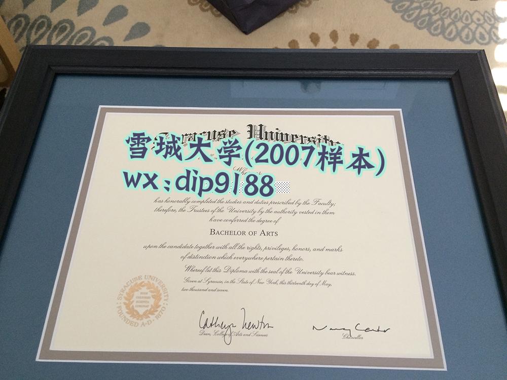 雪城大学学历2007毕业证样本图