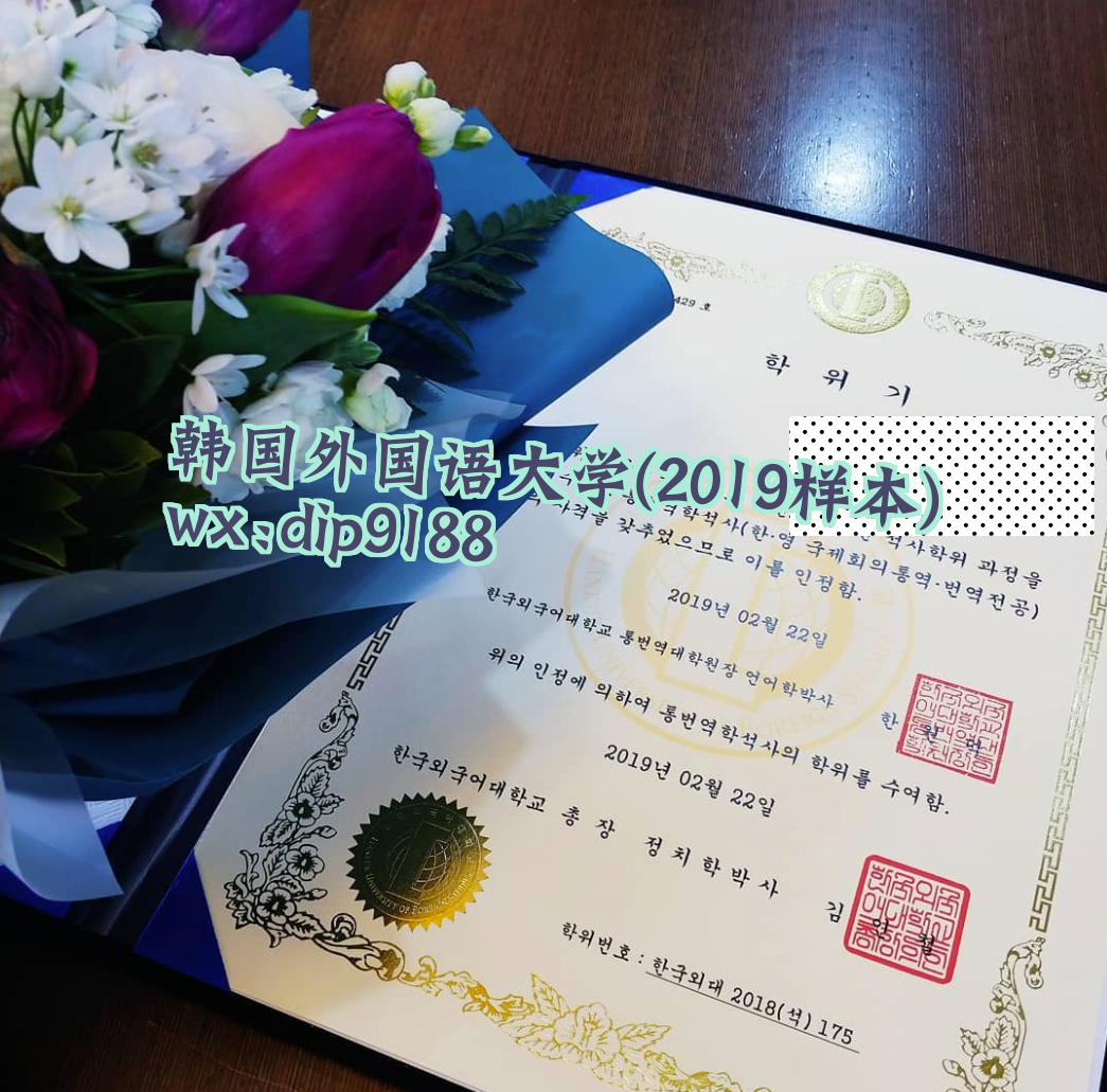 韩国外国语大学学历2019毕业证样本图