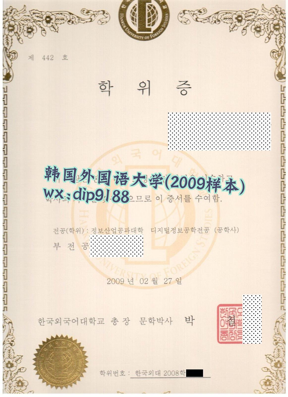 韩国外国语大学学历2009毕业证样本图