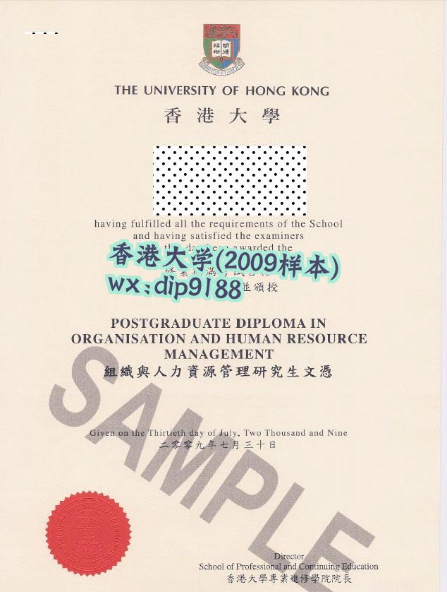 香港大学学历2009毕业证样本图