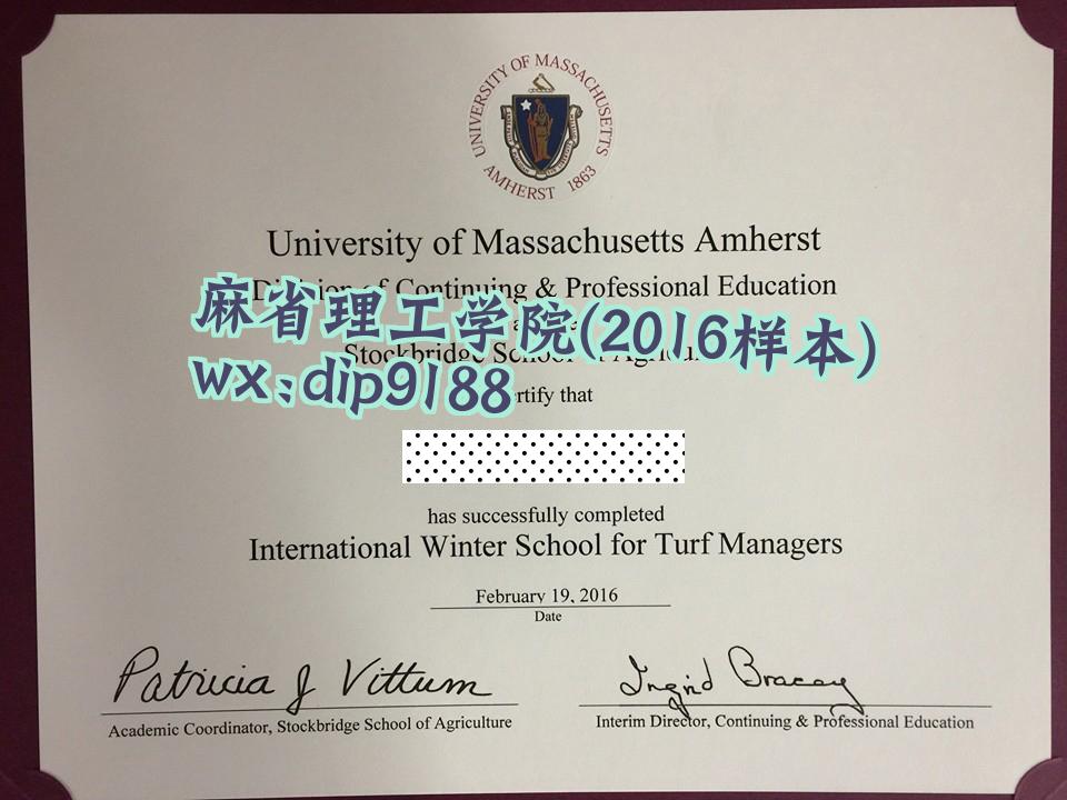 麻省理工学院学历2016毕业证样本图