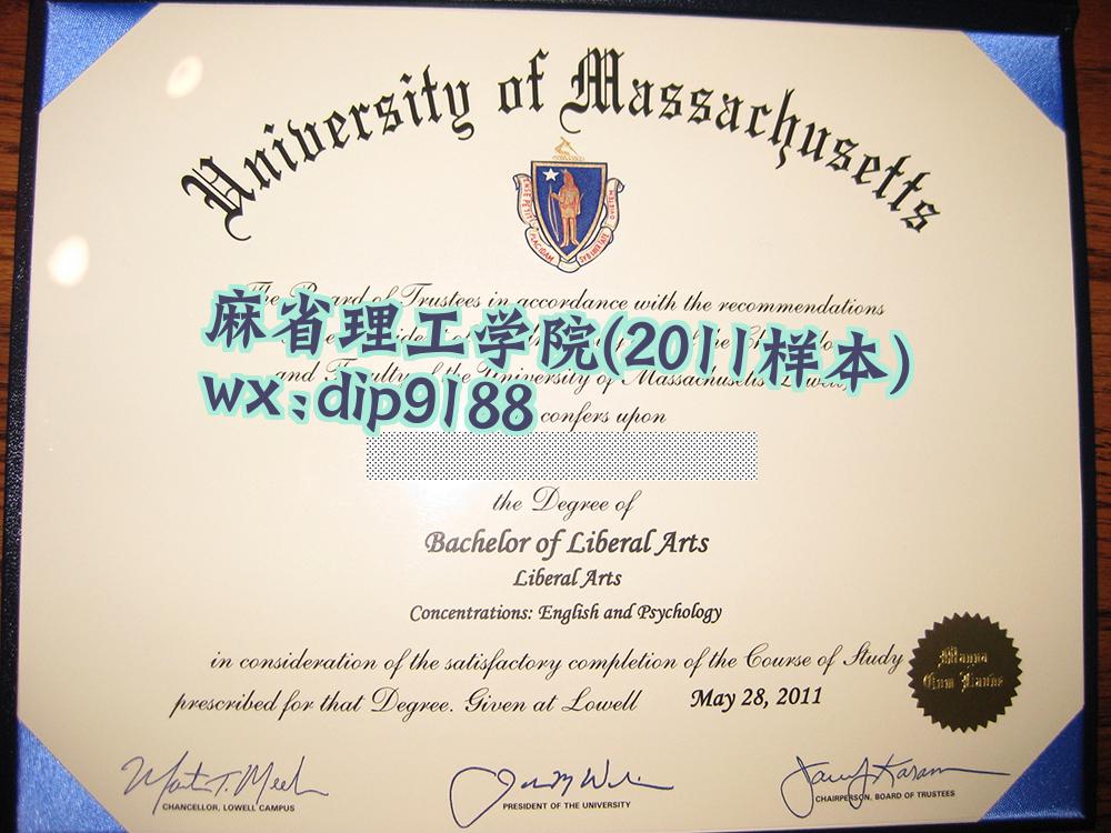 麻省理工学院学历2011毕业证样本图