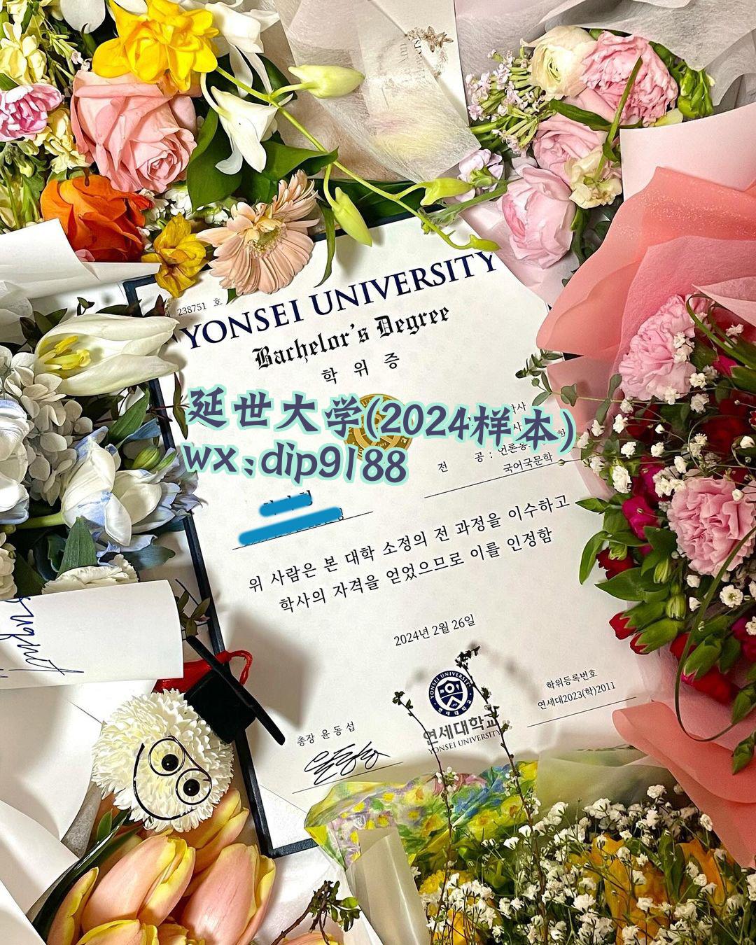 延世大学学历2024毕业证样本图