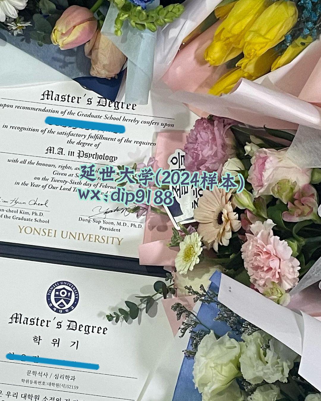 延世大学学历2024毕业证样本图