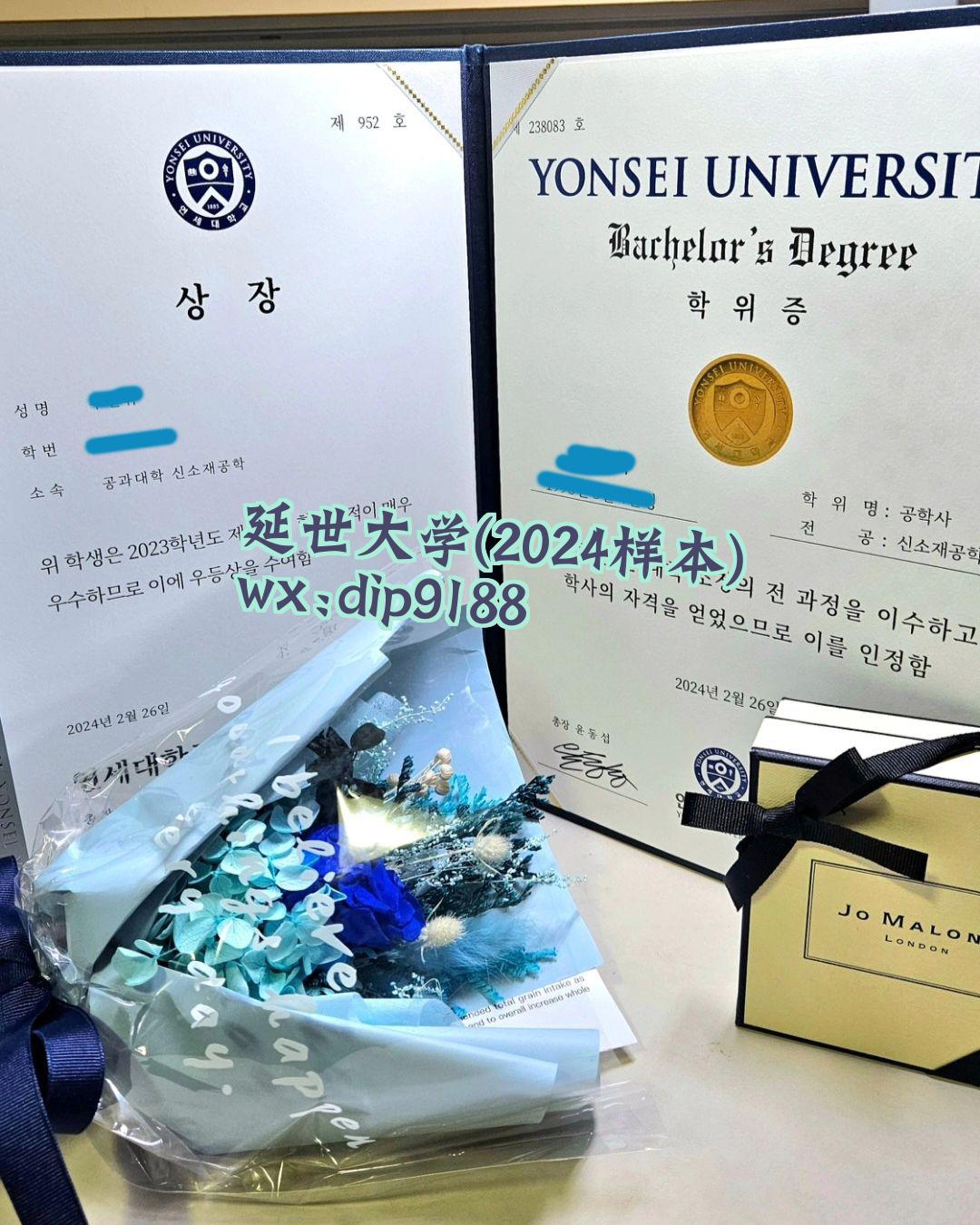 延世大学学历2024毕业证样本图