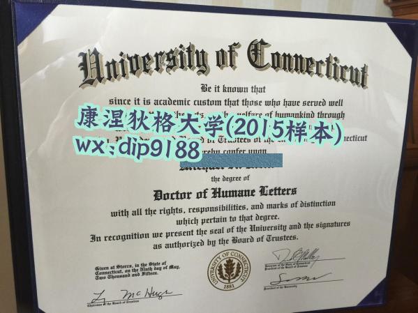 康涅狄格大学学历2015毕业证样本图